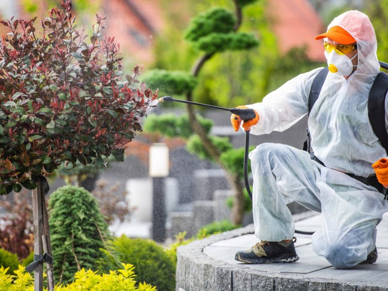 Kadirli Haşere İlaçlama